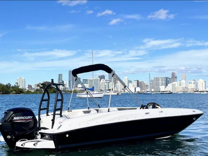 Bayliner Bowrider for up to 8 passengers in New York